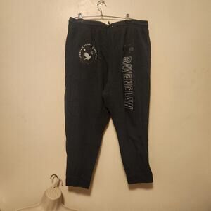 Box Lunch Harry Potter Raven Claw Sweat Pants Size 2X